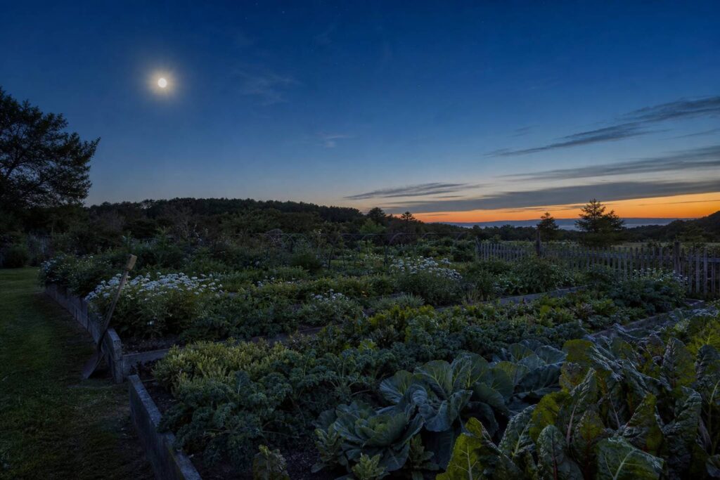 Jardin potager au crépuscule avec la lune se levant dans le ciel et outils de jardin