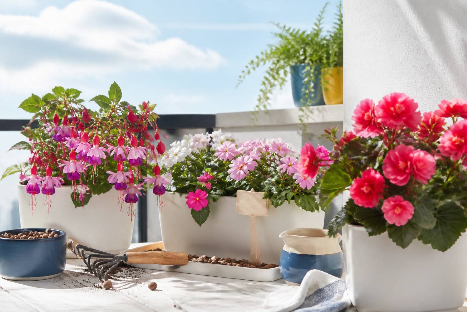 Jardinières fleuries de fuchsias et impatiens avec terreau et billes d'argile